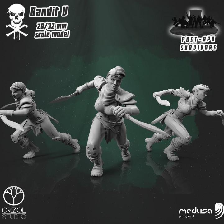 Post-Apo Survivors - Bandit V