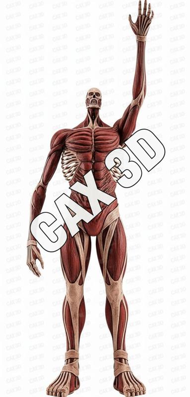 atack on titan - titan colossus-Shingeki no Kyojin version 3