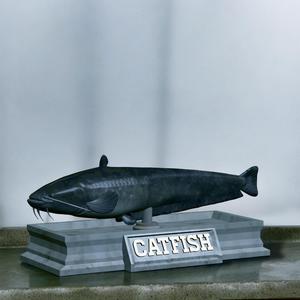 fish wels catfish / Silurus glanis statue detailed texture for 3d printing