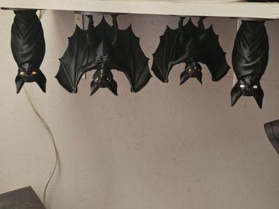 Beautifull Bats