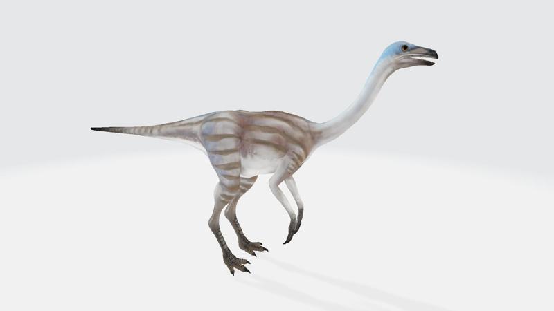 Struthiomimus