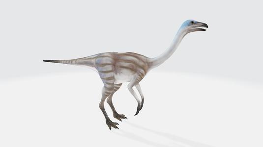 Struthiomimus