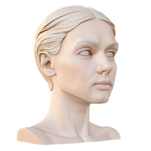 Realistic Female Bust