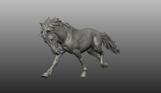 HORSE POSE 13