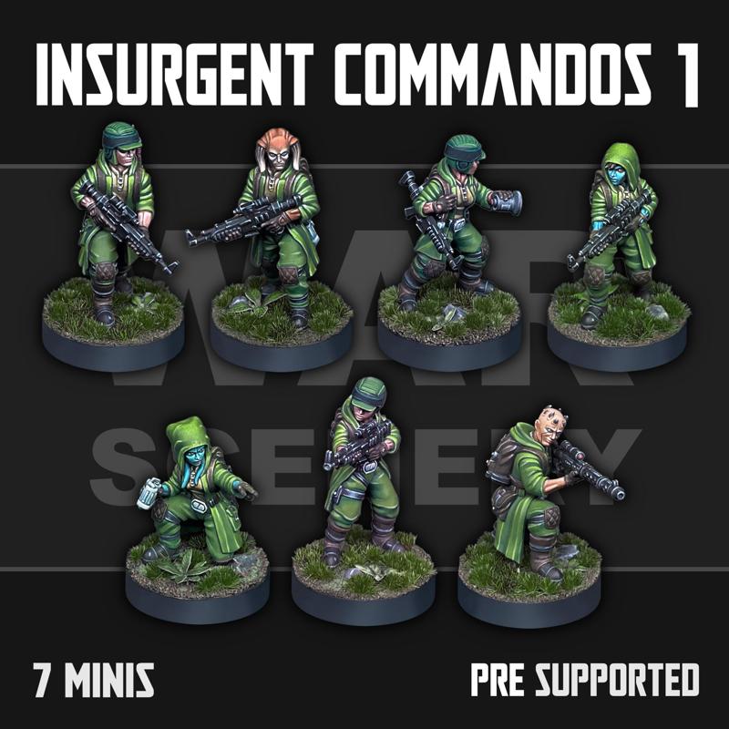 Insurgent Commandos 1