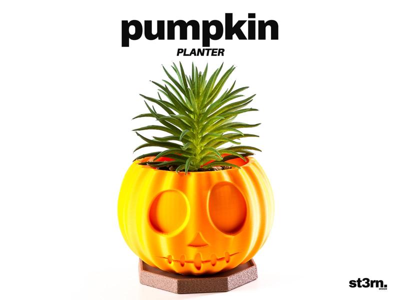 pumpkin ⬝ PLANTER