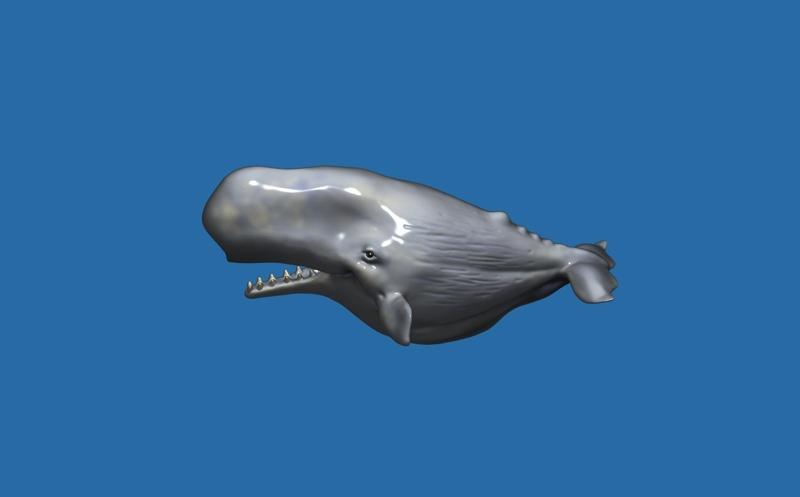 SPERM WHALE CUTE CHIBI