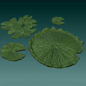 Lilly Pads