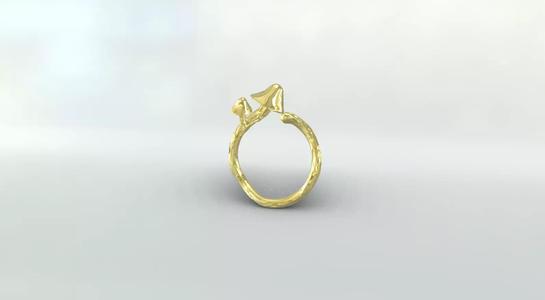 Mushroom Nature Ring 3D Print STL OBJ 3DM  Botanical Jewelry