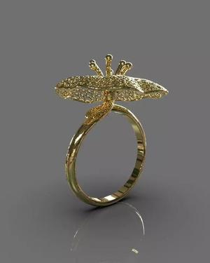 Light ring