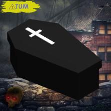 Coffin Box no.4