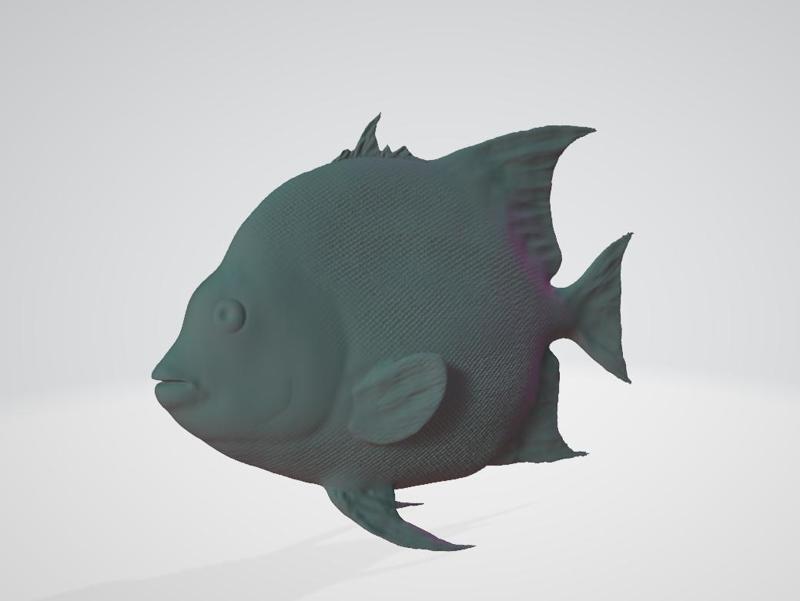 chaetodipterus faber (Atlantic Spadefish)