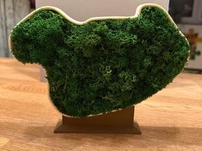 Moss Art