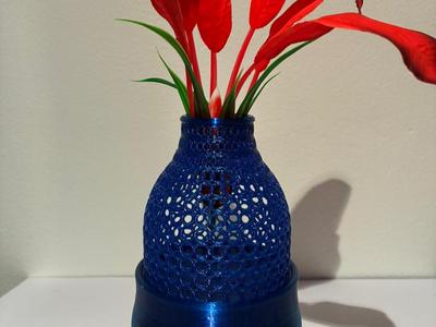 Humid Capture Vase