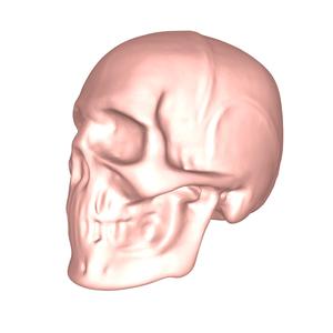 Skull no.1