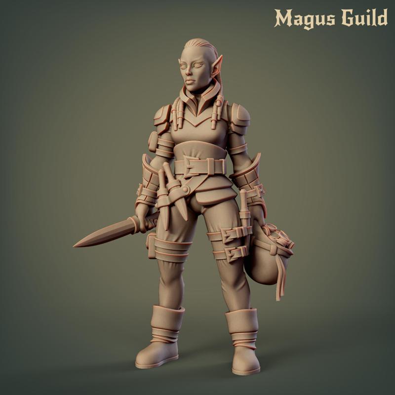Female Elf Rogue - MG3.1