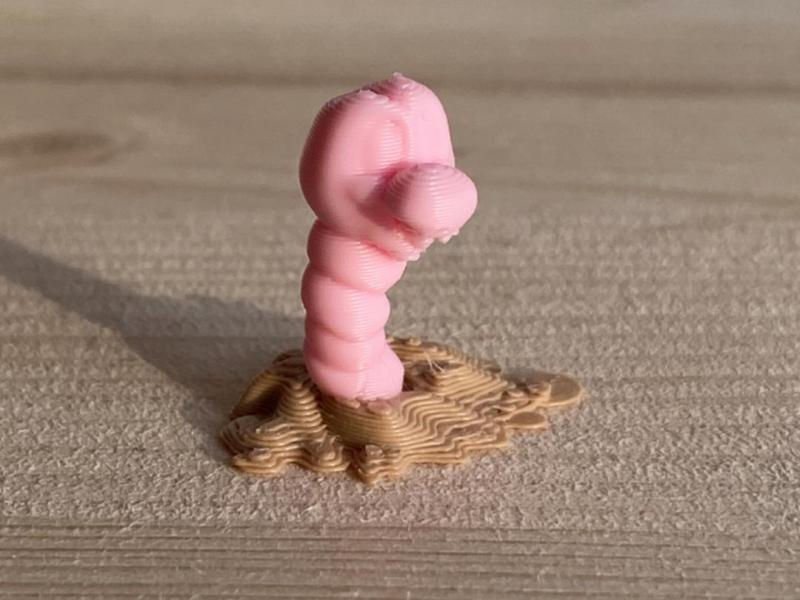 Worm with Soil 