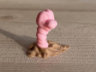 Worm with Soil 