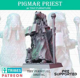 Pigmar Priest