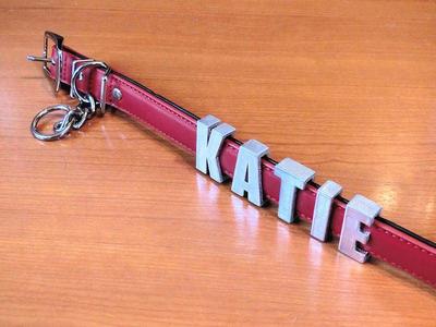 Dog Collar Alphabet Letters