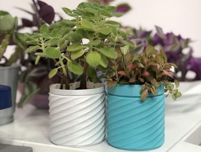 Spiralled Self Watering Planter - Remix