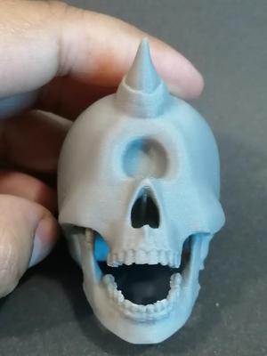 Cyclops skull