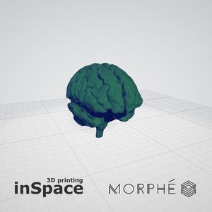 Medical design - Brain (planes)