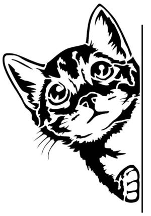 Cat stencil