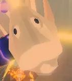 Dazzling Lappi-Gaaris   