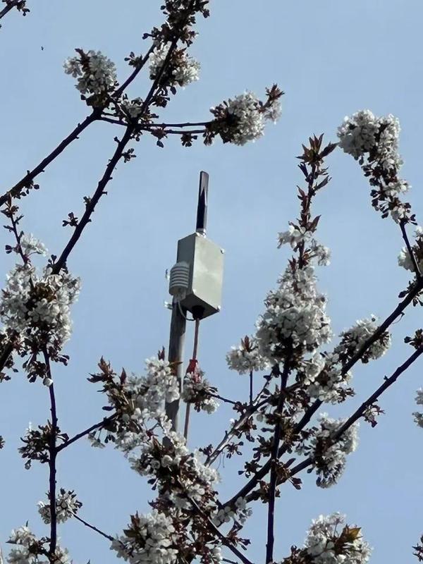 BME680 Weather Station Plate/Cover   