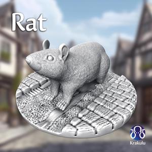 Rat