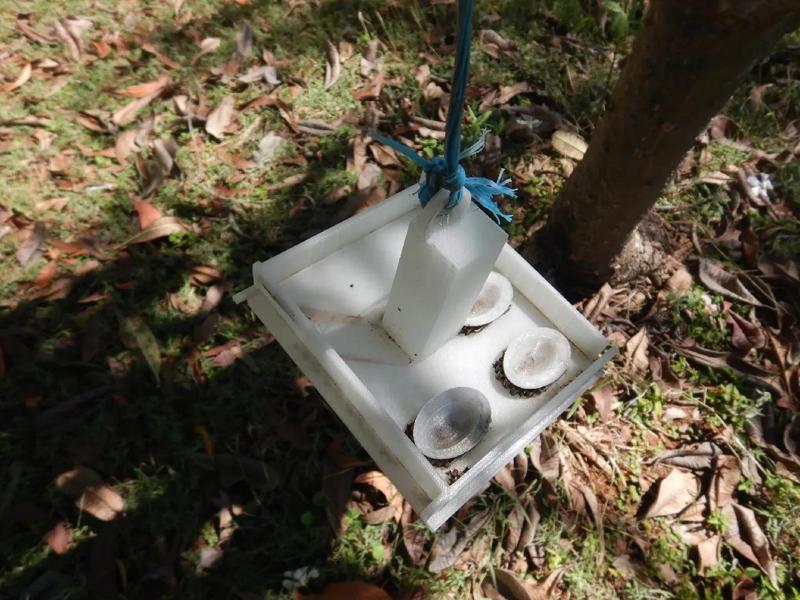 Honey Up (A Bee Restaurant)   