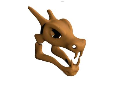 Charizard skull   