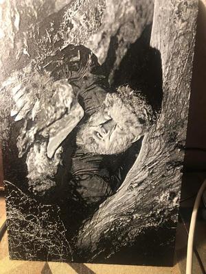 The Wolfman 1941 Lon Chaney Jr. (Hueforge)   