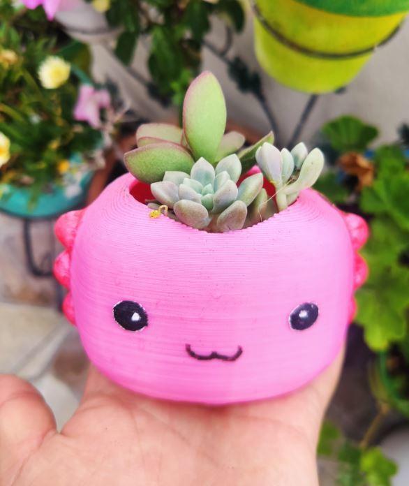 Baby axolotl planter