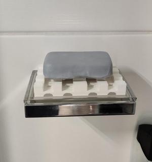 Soap dish for the shower