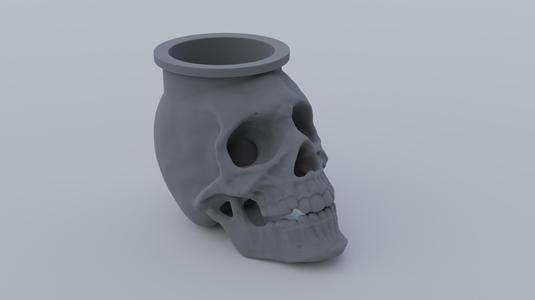 Skull shaped container
