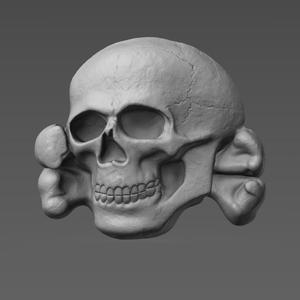 skull badge