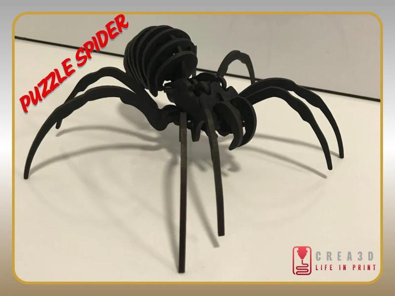 spider kit-card puzzle   