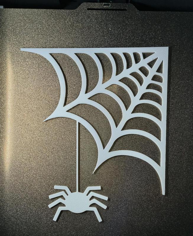 Window spider web