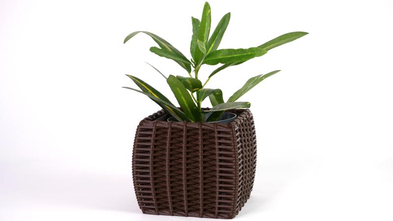Woven Planter Pots Collection