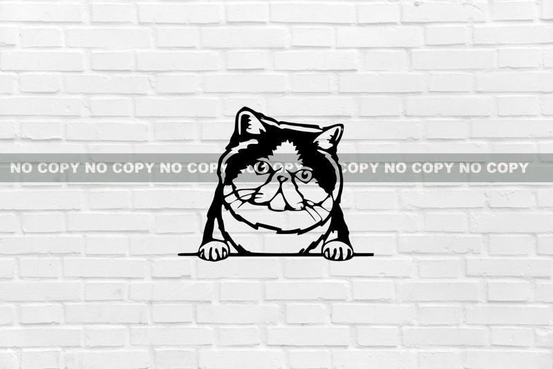 Exotic Shorthair CAT WALL DECORATION