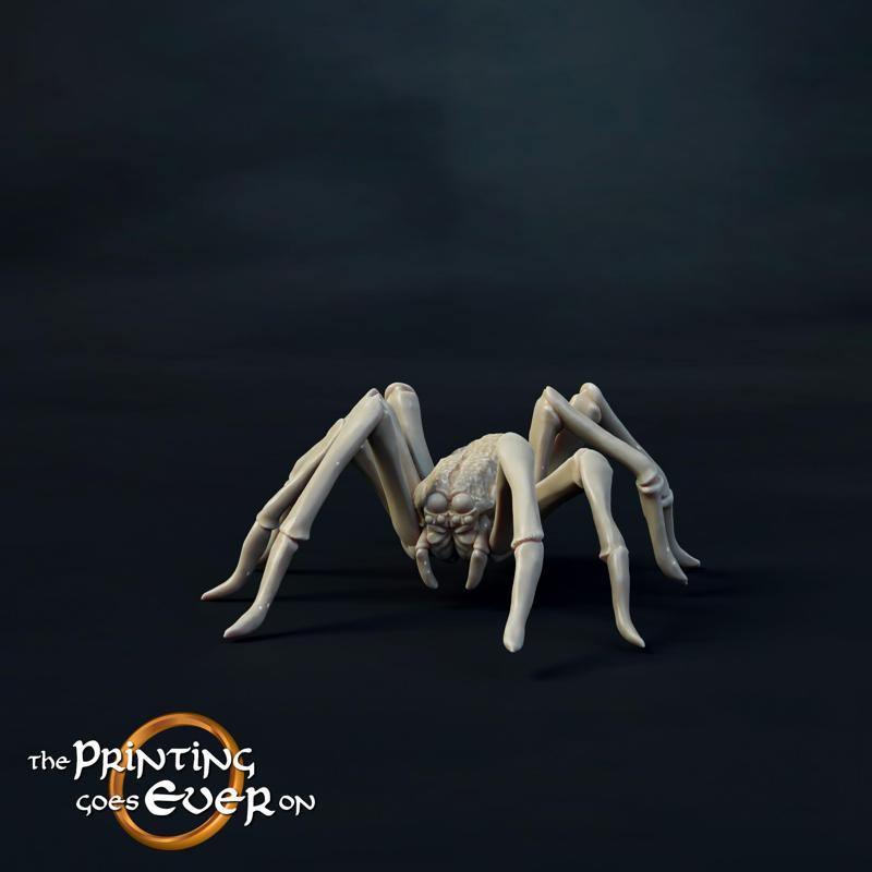 Medium Spider B - Presupported