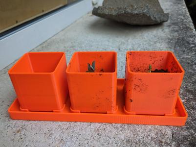 Triple seedling planter tray