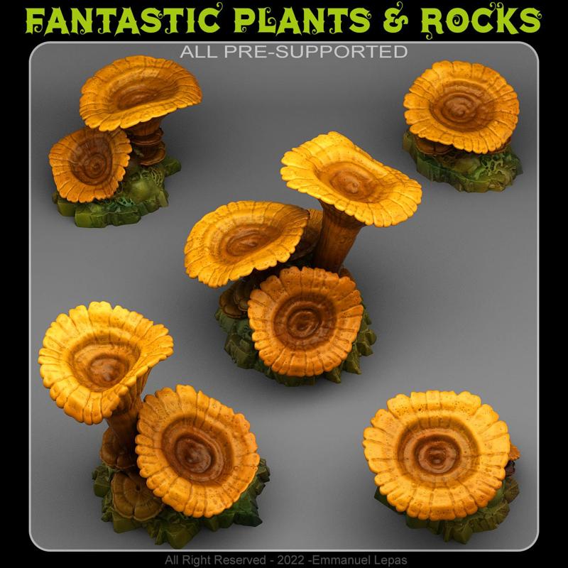 GIANT ORANGE MUSHROOMS