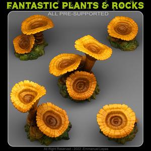 GIANT ORANGE MUSHROOMS