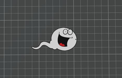 "Herm" the Sperm Keychain