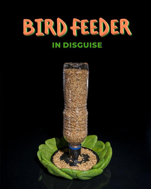 Bird Feeder in Disguise