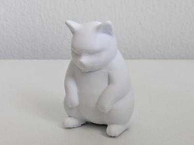 Slav squat cat