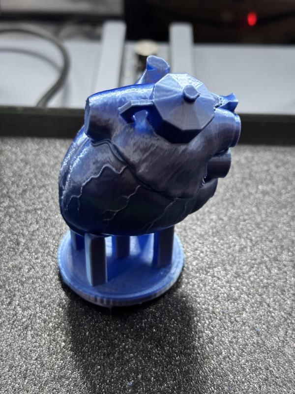 Anatomical Heart with Greca Keychain